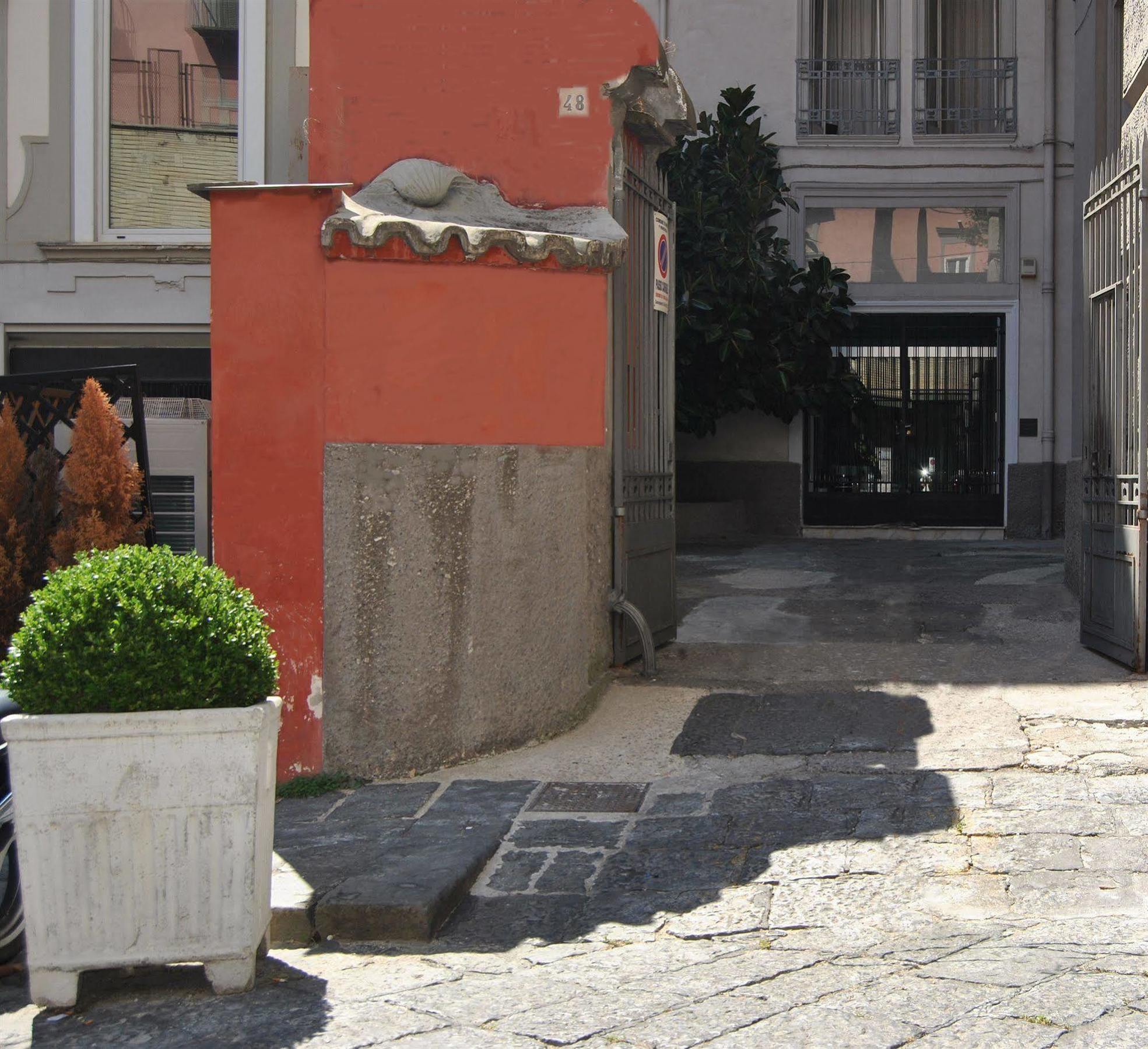 Serenella Napoli